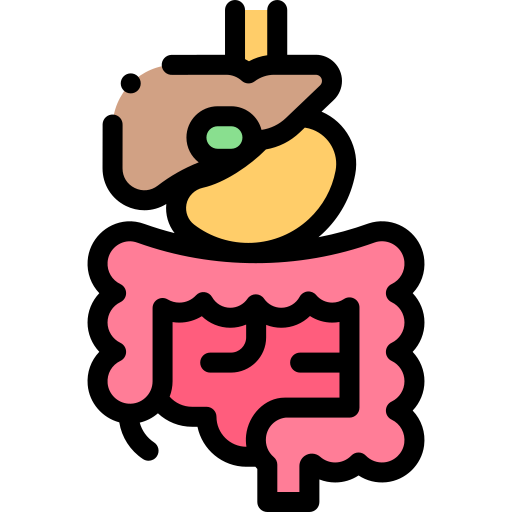 diagram of the human digestive system